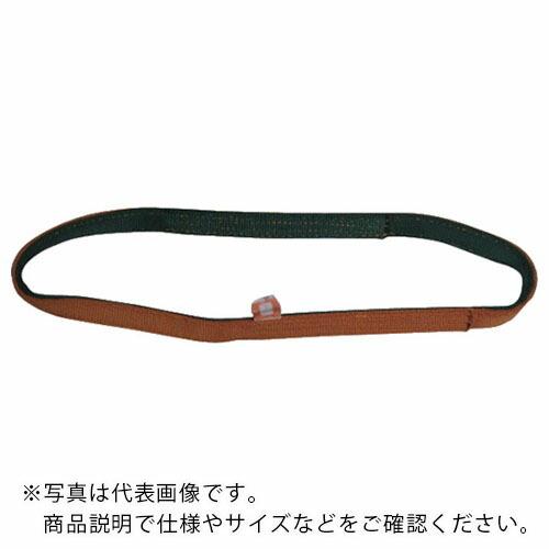 シライ ベルトスリング ナイロンスリング N3N(JIS3トウキュウ) エンドレス形 100mm幅×長さ4.5m ( N3N-100X4.50 )