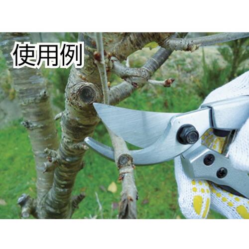 DAISHIN EG アルミダイキャスト剪定鋏DX ( 502099 ) (株)大進 |  | 02