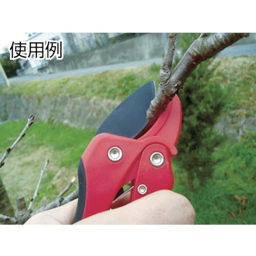 DAISHIN EG 軽量ラチェット式剪定鋏 175mm ( 700600 ) (株)大進 |  | 02