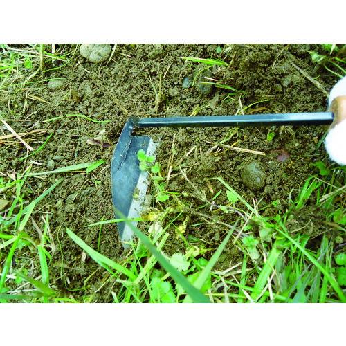 DAISHIN 金葉 鋼付首長ねじり鎌 ( 206164 ) (株)大進 |  | 01