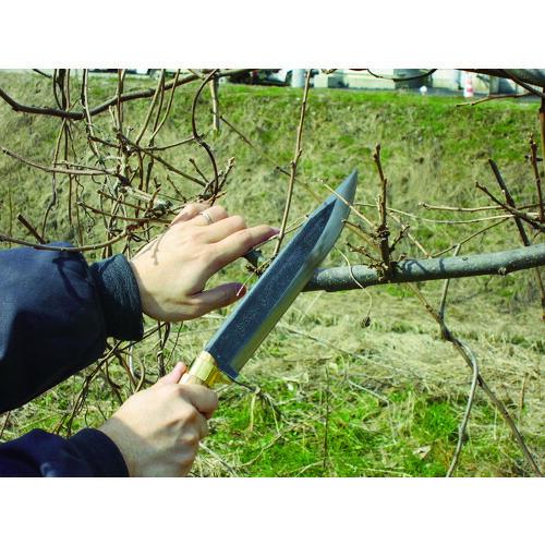 鋼典 安来鋼付 山鉈 片刃ツバ付 完全包装 ( C-30 ) 五十嵐刃物工業(株) |  | 02