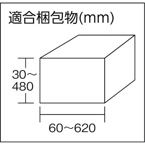 ストラパック エコノミ-型自動梱包機 ( JK5000 ) ストラパック(株) |  | 01