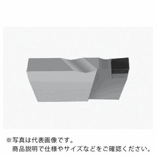 NO.97❤黒猫❤スイカの上で…❤レジンヘアゴム ヘアゴム