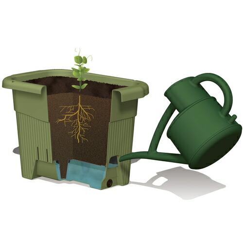 リッチェル 水ラク緑のカーテンプランター85型 ( 85883 ) | リッチェル | 01