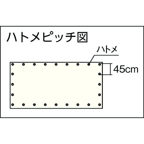 ユタカメイク 透明糸入りシート 0.9m×1.8m ( B-160 ) (株)ユタカメイク |  | 01