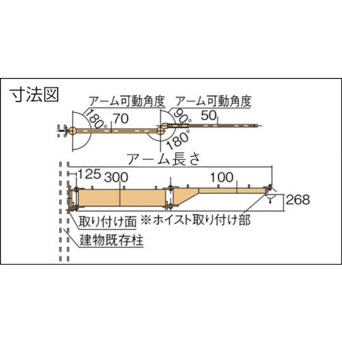 スーパー 二速型電動チェーンブロック付ジブクレーン 柱取付・シンプル型 αSBタイプ 定格荷重0.1t アーム長さ3.6m ( JBCT1037H )_1