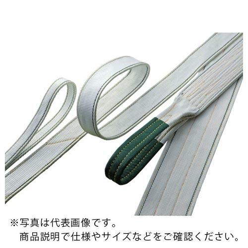 ロックスリング E× E×-1 100mm×3.0m 両端アイ型 ( EX-1 100X3.0 )