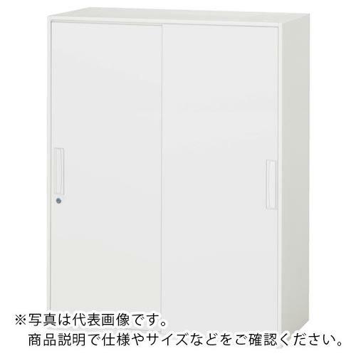 DAISHIN ( ダイシン工業 )　壁面収納庫　引戸型　上下兼用Ｄ４００　ホワイト ( V940-12S ) (メーカー取寄)