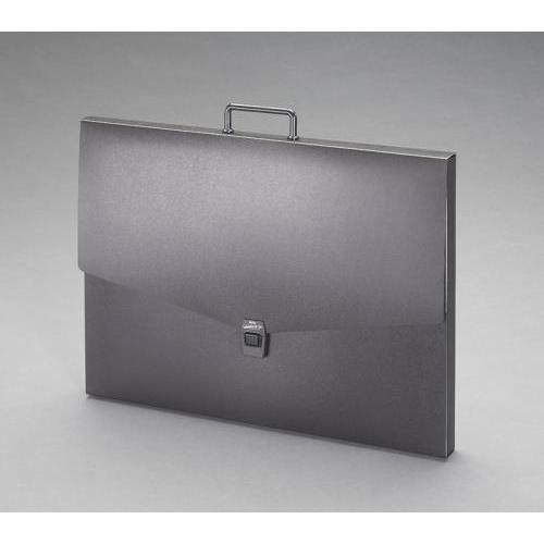 【SALE価格】エスコ (ESCO)  EA762CF-255 A2/460x620mm デザインケース EA762CF-255 | 
