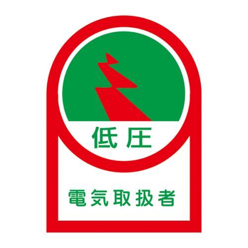 エスコ (ESCO)  EA983AN-22B 35x25mm ヘルメットステッカー(電気取扱者/10枚) EA983AN-22B (9組セット) | 