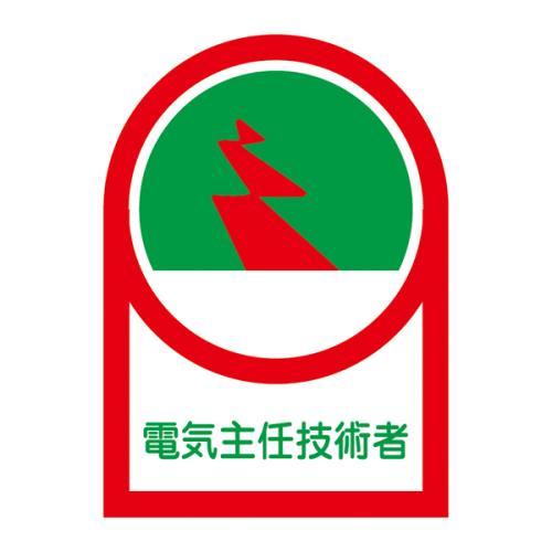 エスコ (ESCO)  EA983AN-8B 35x25mm ヘルメットステッカー(電気主任技術者/10枚) EA983AN-8B (9組セット) | 
