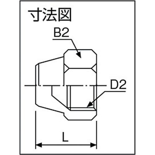 ＡＳＯＨ　フレアーキャップ　１／２Ｘ２０山 FN-0008 ( FN0008 ) アソー（株） |  | 02