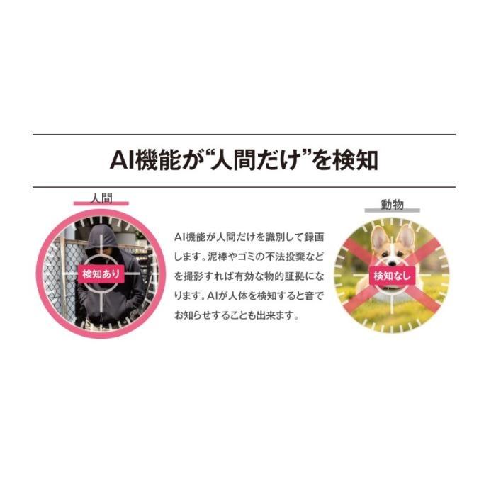 レッツ・コーポレーション ワイヤレス見張隊NEOグランドスラム2CR監視カメラ、防犯カメラ、カメラ2つセット ( L-WMN-GS2CR ) |  | 05