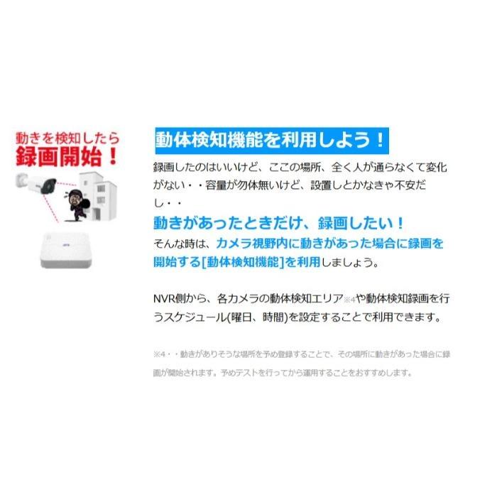 レッツ・コーポレーション FHD見張隊pro業務用防犯カメラ ( LFHDM-Pro ) |  | 04