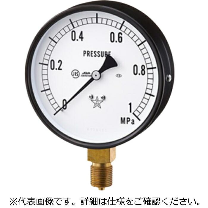 右下精器 一般圧力計(耐振用 ( BVT3/8-100X6MPA ) | 