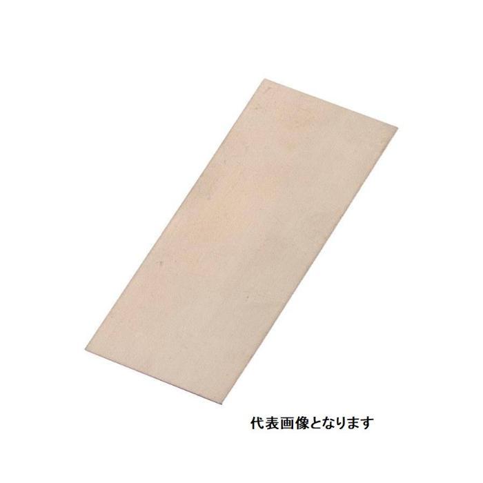 KENIS 実験用金属板 ニッケル板 120mm ターミナル無し ( B-27 ) | 