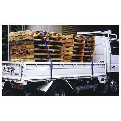 ラッシングベルト  ( LBR300W CF10-40CF )  ( EVY59 ) |  | 01