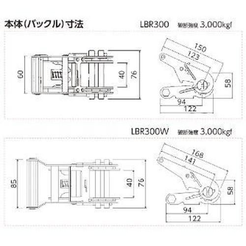 ラッシングベルト  ( LBR300W CF10-40CF )  ( EVY59 ) |  | 02
