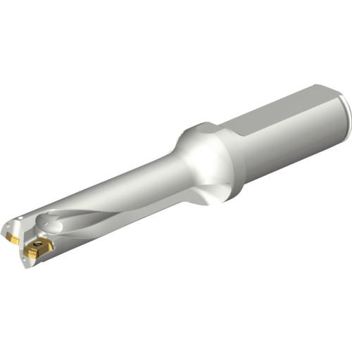 SANDVIK ( サンドビック ) コロドリルDS20刃先交換式ドリル(465) ( DS20-D1500L20-04 (465) )_1