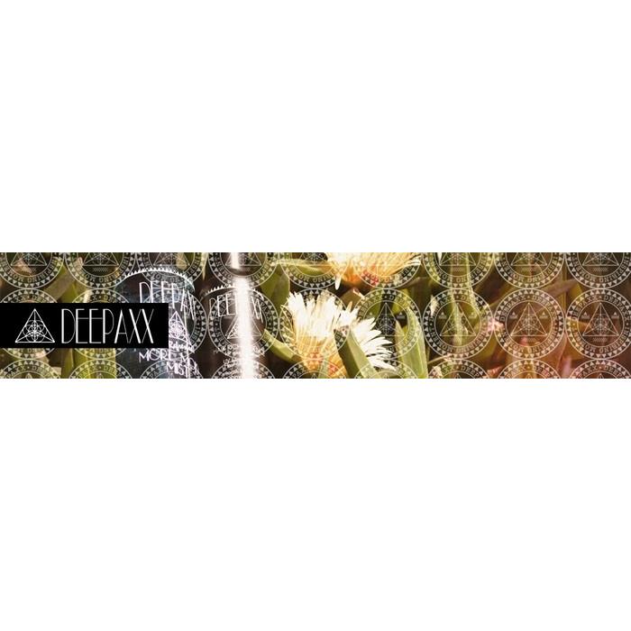 DEEPAXX（ディーパックス） EX SUNPROTECTION STICK・EXサンプロテクションスティック　2カラー |  | 01