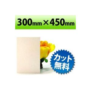 PP板　ホワイト　300×450mm　　厚み0.75mm | ブランド登録なし