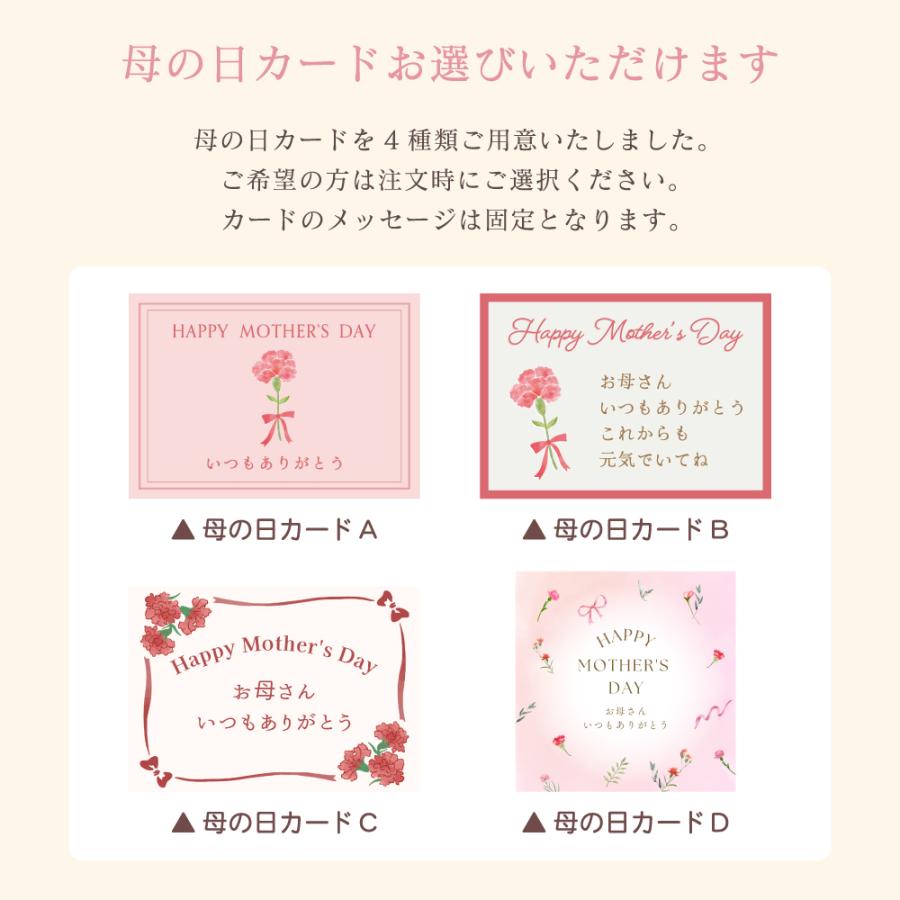 胡蝶蘭 蘭 ミディ フォーチュンザルツマン2本立ち【全国洋らん品評会金賞受賞胡蝶蘭】母の日 花 ギフト お祝い 米寿 プレゼント 花 鉢植え 爆買_7