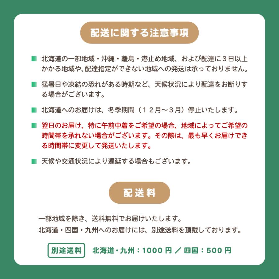 胡蝶蘭 大輪 60輪以上 恋姫 5本立ち 蘭 花 ギフト 鉢植え ピンク お祝い 開店祝い 開業祝い |  | 05