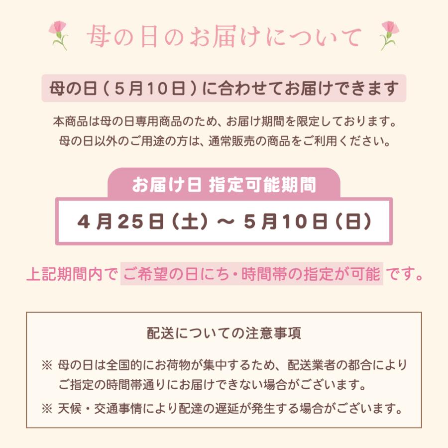 【母の日ギフト】 胡蝶蘭 ミディ 2本立ち 生花 鉢花 プレゼント 贈り物 フラワーギフト 母の日2026_18
