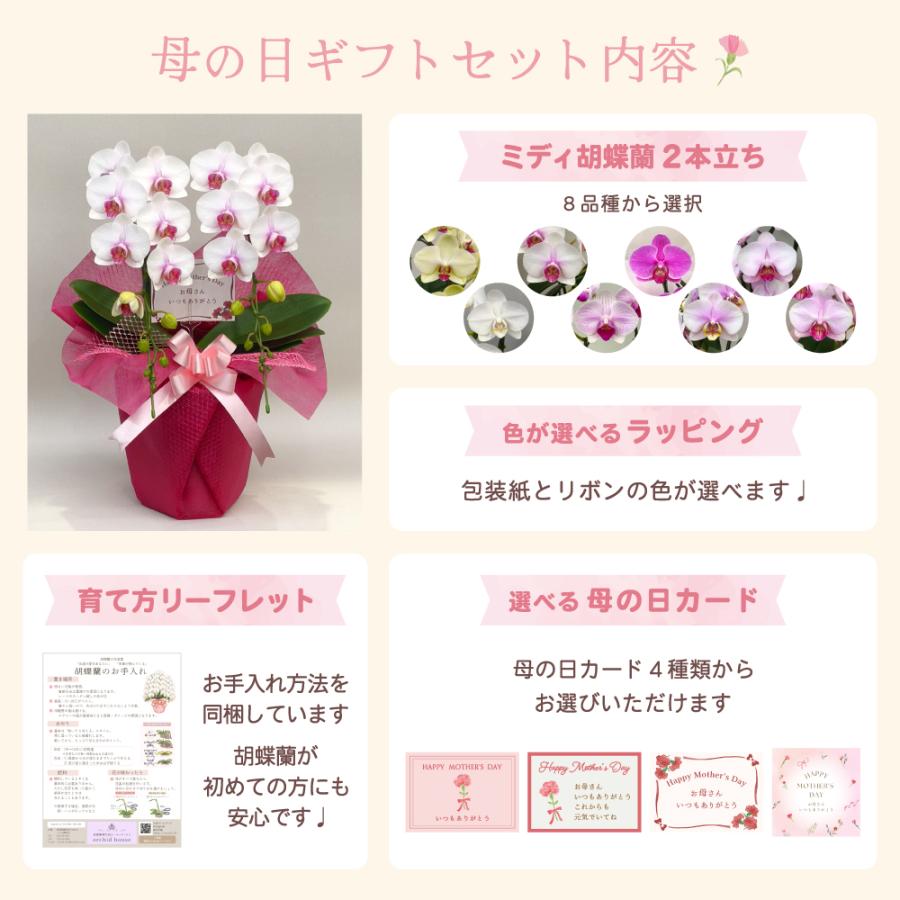 【母の日ギフト】 胡蝶蘭 ミディ 2本立ち 生花 鉢花 プレゼント 贈り物 フラワーギフト 母の日2026_9