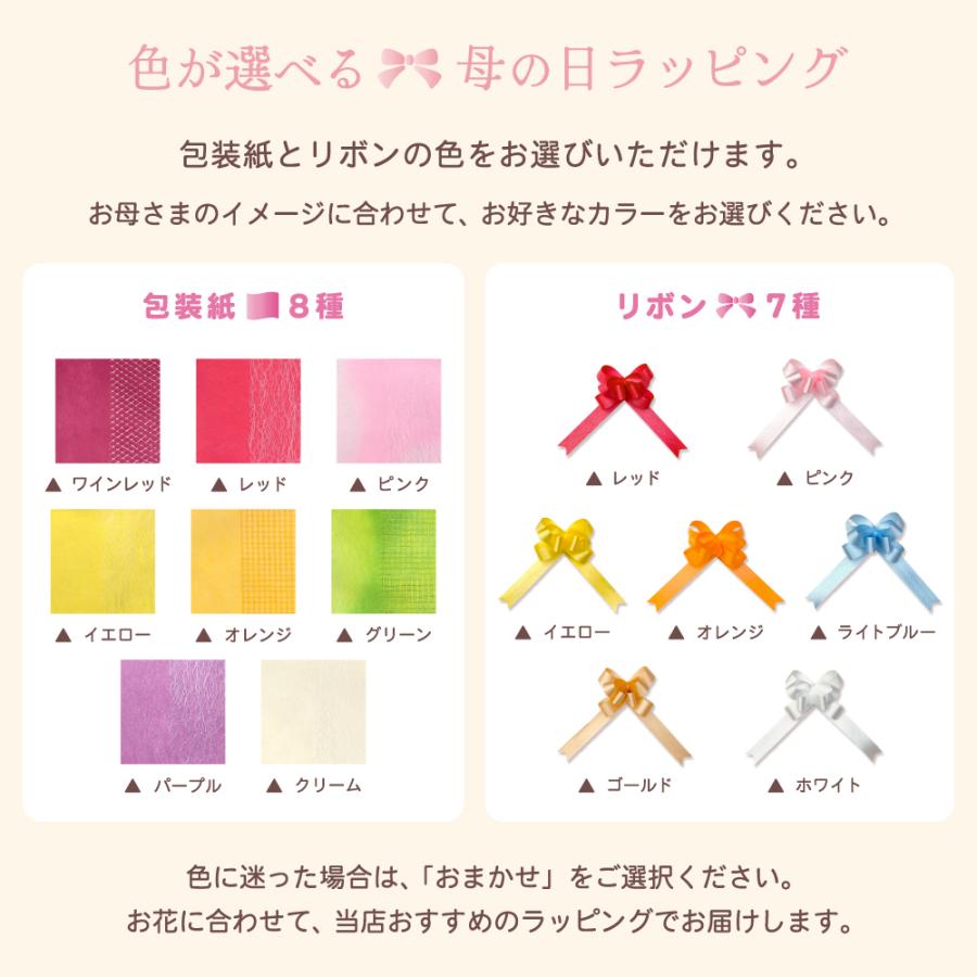 【母の日ギフト】 胡蝶蘭 ミディ 2本立ち 生花 鉢花 プレゼント 贈り物 フラワーギフト 母の日2026_15