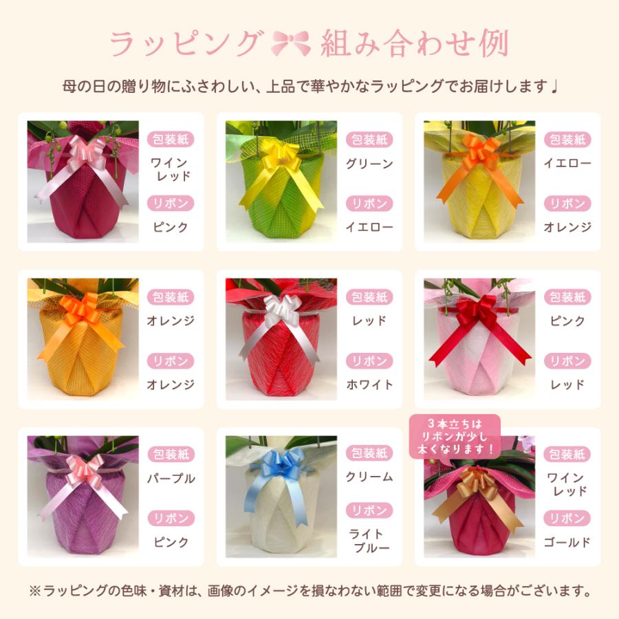 【母の日ギフト】 胡蝶蘭 ミディ 2本立ち 生花 鉢花 プレゼント 贈り物 フラワーギフト 母の日2026_16