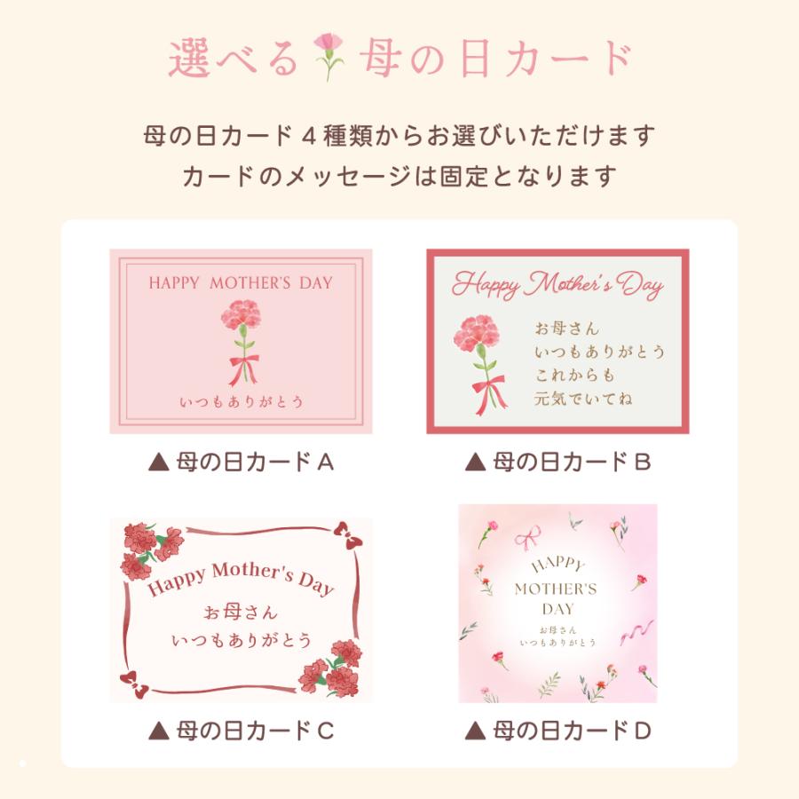 【母の日ギフト】 胡蝶蘭 ミディ 2本立ち 生花 鉢花 プレゼント 贈り物 フラワーギフト 母の日2026_17