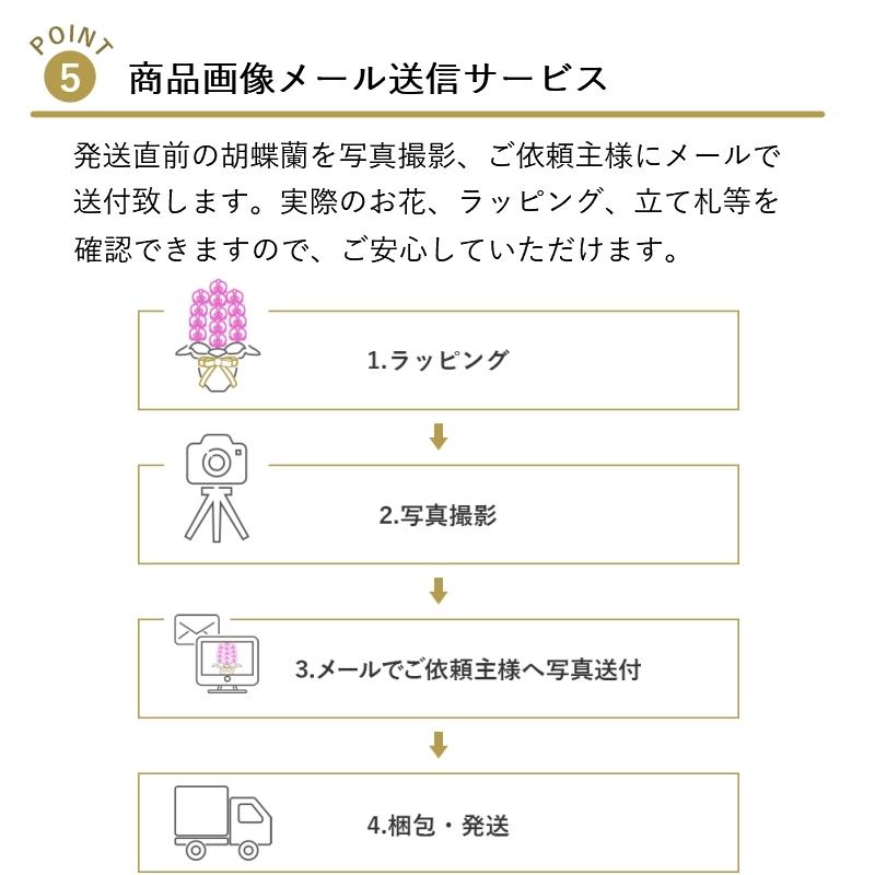 胡蝶蘭オリビア3本立ち 全国洋らん品評会金賞受賞胡蝶蘭 開店祝い お祝い 誕生日 敬老の日 お中元 暑中見舞い Olivia 3 胡蝶蘭の専門店 オーキッドハウス 通販 Yahoo ショッピング