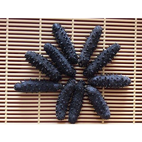 人気が高い 乾燥なまこ 300g30個前後入 Mサイズ A級品 柔らかい New Ilovedeals In