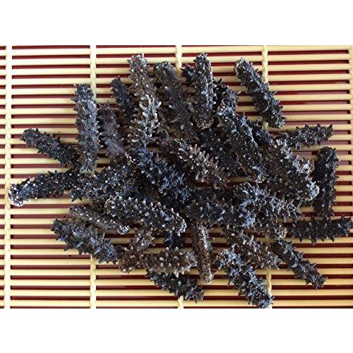 史上最も激安 北海道産 乾燥なまこ 1kg入 Sssサイズ 2g以下 A級品 超美品 Atempletonphoto Com