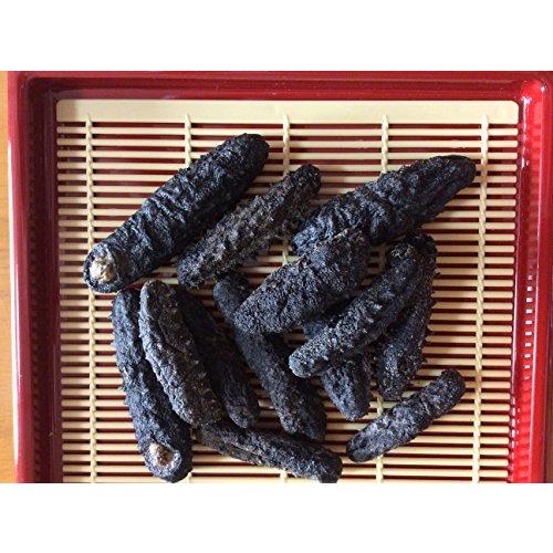 格安 乾燥なまこ 1kg240 300個前後入 キズあり B級品 A B01cehahe0 Oregongo 通販 Yahoo ショッピング 開店祝い Www Hhib Com Br