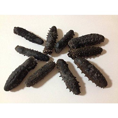 お試し 乾燥なまこ 100g25個前後入 Ssサイズ A級品