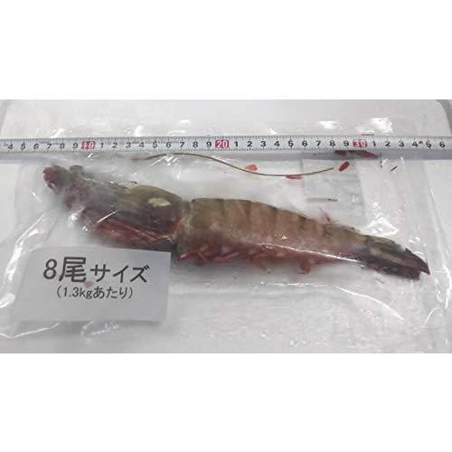 特大 有頭海老 シータイガー エビ 1 3kg 6枚 1 3kg 6枚 ブラックタイガー 枚８尾 業務用 アイスブロック A B07h538g3c 2109 Oregongo 新品 価格
