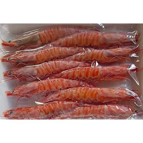 限定品 天然 ボイル 有頭 車海老 13 15サイズ使用 10尾 12ｐ 業務用 限定品 ブラックタイガー Luzearteiluminacao Com Br