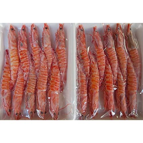 限定品 天然 ボイル 有頭 車海老 13 15サイズ使用 10尾 12ｐ 業務用 限定品 ブラックタイガー Luzearteiluminacao Com Br