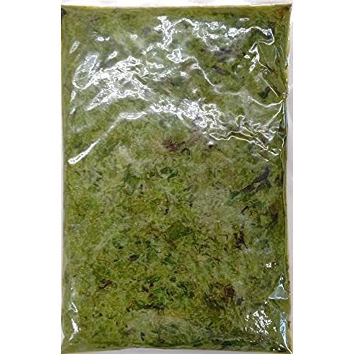 生まれのブランドで 国産 ふきのとう味噌 500g ふき味噌 業務用 Thisissesame Com