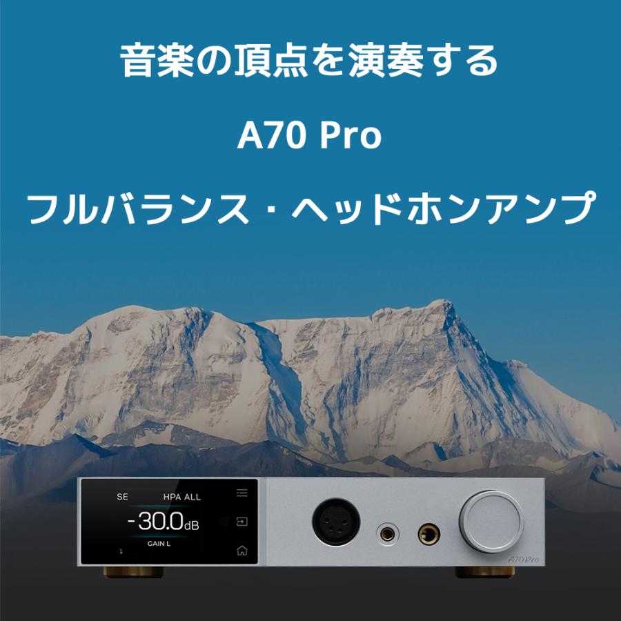 1年保証 TOPPING A70 Pro フルバランス ヘッドホンアンプ 6.35mm 4.4mm XLR ヘッドホン 出力 プリアンプ機能 トッピング イヤホン ヘッドフォン アンプ バランス |  | 03