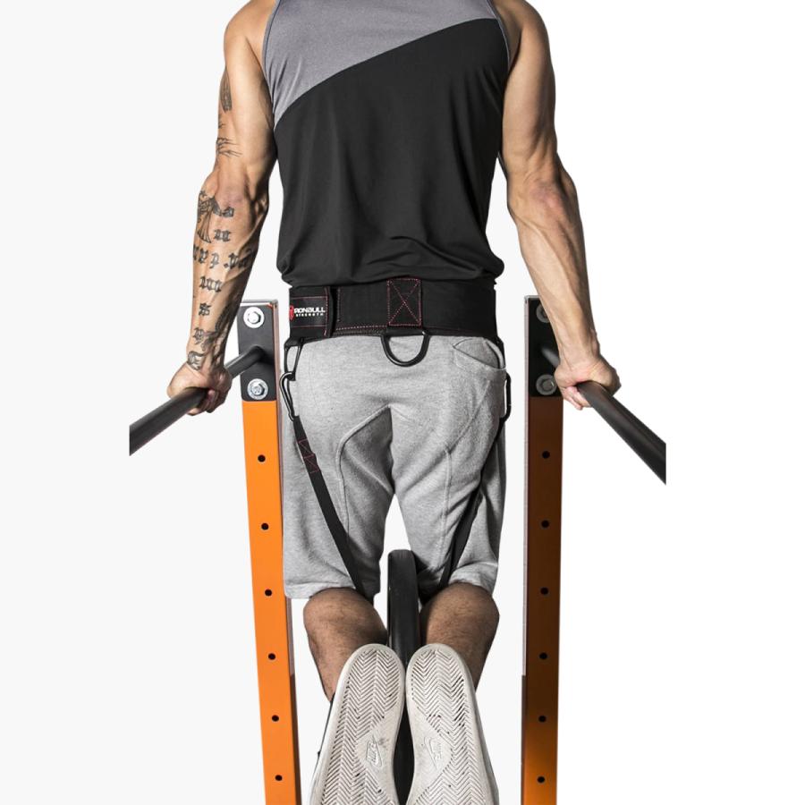 Iron Bull Strength 多機能 ディップベルト ディップ スクワット プル