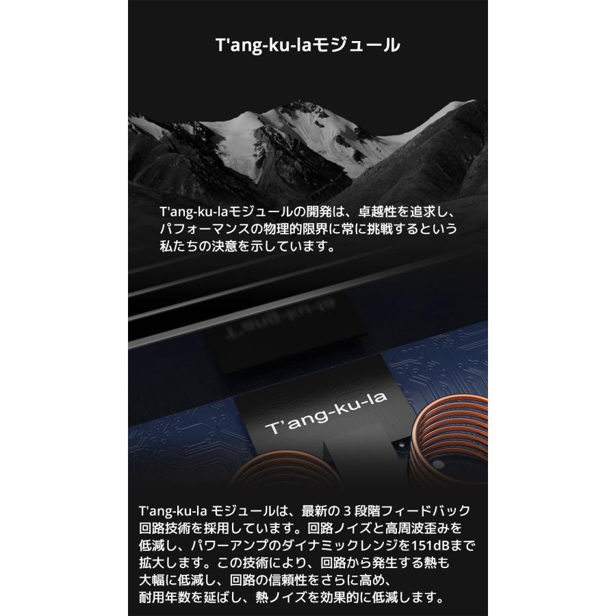 1年保証 TOPPING B100 モノラル ピュア パワーアンプ TRS XLR 入力 ハイレゾ オーディオ 高出力 低歪み 低ノイズ 高音質 モノラルアンプ モノ アンプ トッピング |  | 06