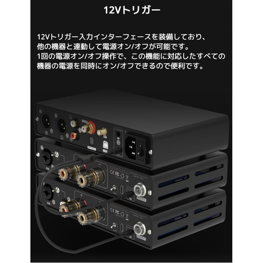 1年保証 TOPPING B100 モノラル ピュア パワーアンプ TRS XLR 入力 ハイレゾ オーディオ 高出力 低歪み 低ノイズ 高音質 モノラルアンプ モノ アンプ トッピング |  | 11