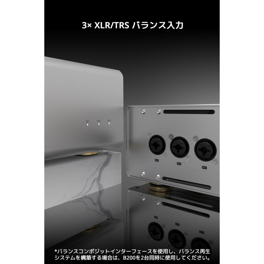 TOPPING TP20 - MARK 2 パワーアンプ　トッピング TOPPING TP20 - MARK 2 パワーアンプ トッピング