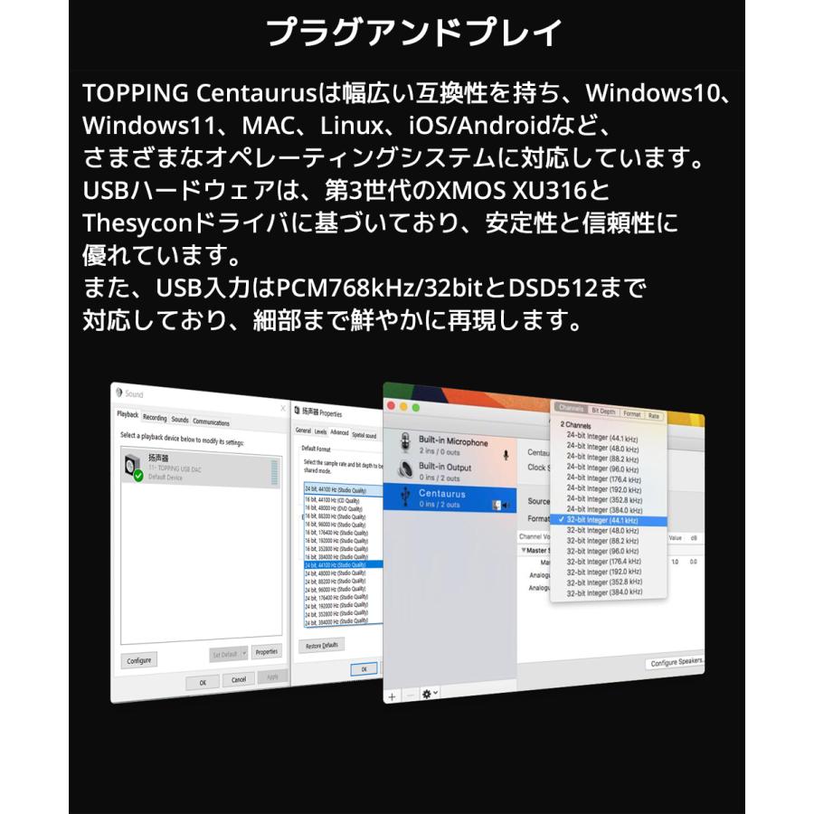 1年保証 Topping フルバランス R2R DAC Centaurus ケンタウルス トッピング ハイレゾ Bluetooth 5.1 LDAC対応 |  | 12