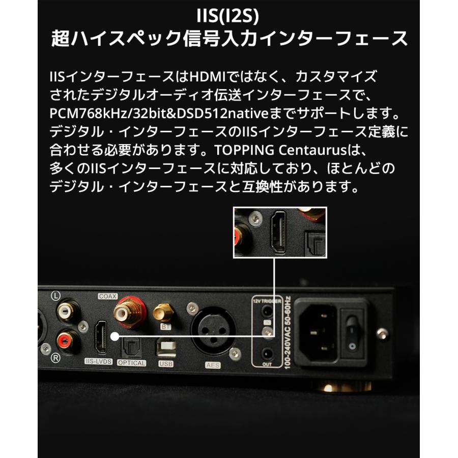 1年保証 Topping フルバランス R2R DAC Centaurus ケンタウルス トッピング ハイレゾ Bluetooth 5.1 LDAC対応 |  | 17