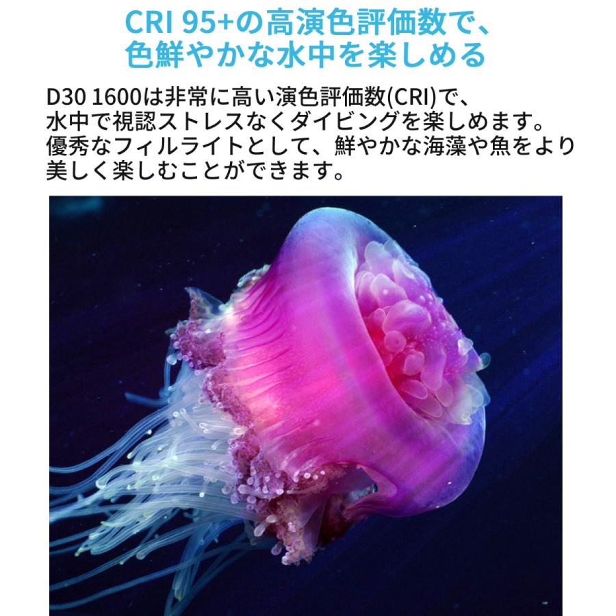 XTAR エクスター D30 1600 ダイビングライト 1600ルーメン ダイビング用 フラッシュライト ハンドライト ハンディライト 懐中電灯 LED ライト 防水 |  | 04