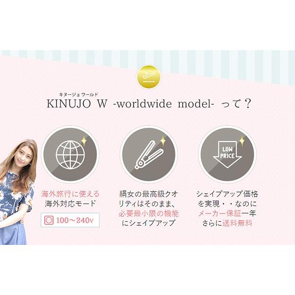 KINUJO 正規代理店品 1年保証 絹女 W -worldwide model DS100
